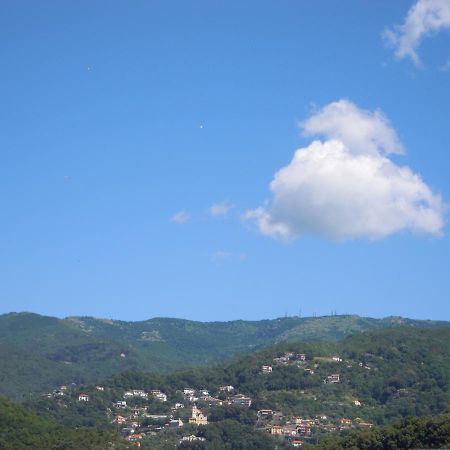 Genovese Villa Elena Appartamenti Varazze Extérieur photo
